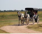 Carriage-Ride-at-Fort-Larned_1.jpg