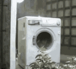 washing-machine-rock.gif