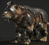 armor-cat.png